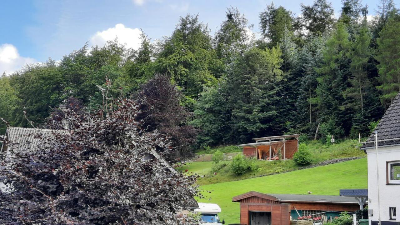 Yalet Ferienhaus 2 Appartementen Vlakbij Willingen Brilon-Wald Buitenkant foto