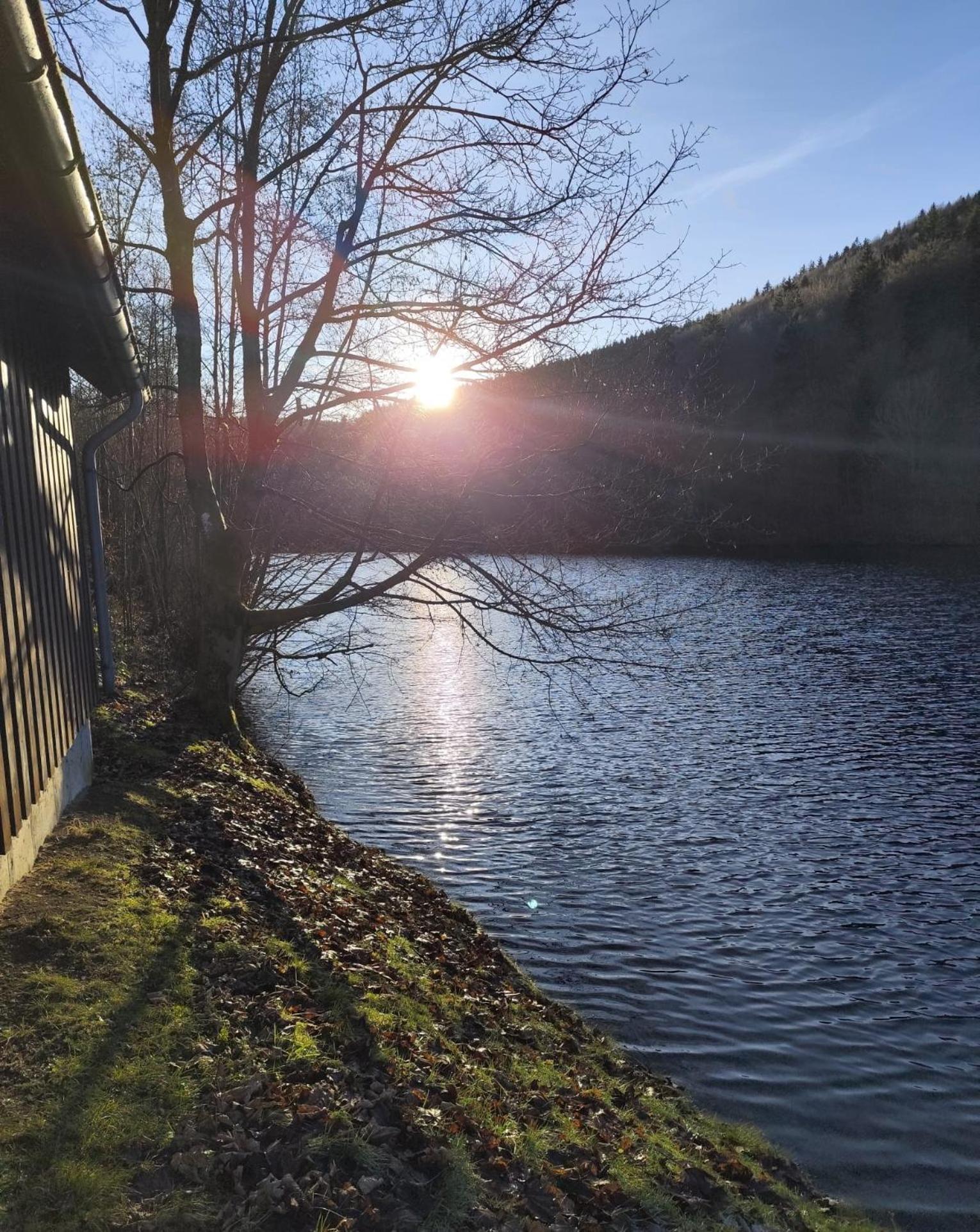 Yalet Ferienhaus 2 Appartementen Vlakbij Willingen Brilon-Wald Buitenkant foto